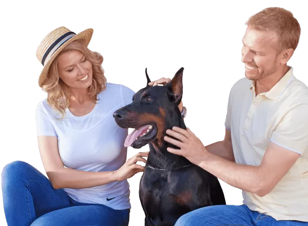 Серия Prestige для тех, кто заботится о собственном комфорте, выбирая энергоэффективные конструкции Серия Prestige для тех, кто заботится о собственном комфорте, выбирая энергоэффективные конструкции