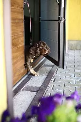 Со стандартным порогом 145 мм